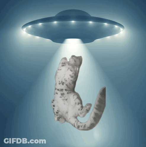 A Cat Is Being Abducted By An Ufo With A Light Shining On It GIF
