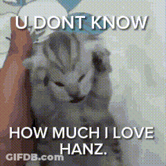 A Cat Is Being Held By A Person With The Words `` U Dont Know How Much I Love Hanz '' Written On It . GIF