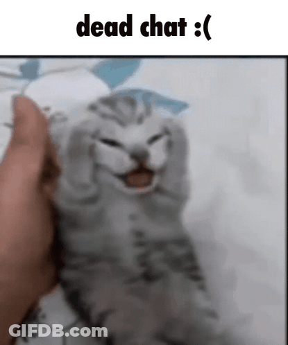 A Cat Is Being Held In A Person 'S Hand And Is Making A Face . GIF