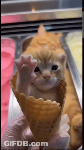 A Cat Is Being Held In An Ice Cream Cone By A Person Wearing Gloves GIF