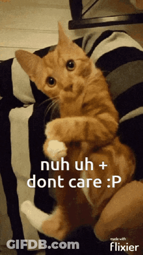 A Cat Is Being Held In Someone 'S Arms With The Caption Nuh Uh + Dont Care GIF