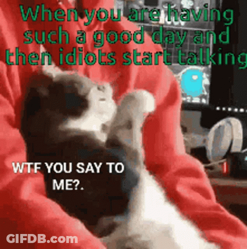 A Cat Is Being Held In Someone 'S Lap With A Caption That Says " When You Are Having Such A Good Day GIF