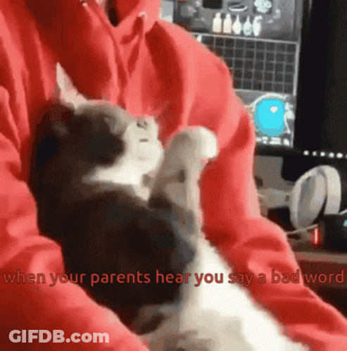 A Cat Is Being Held In Someone 'S Lap With The Words " When Your Parents Hear You Say A Bad Word " GIF