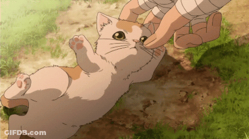 A Cat Is Being Petted By A Person With Bandages On Their Wrists GIF