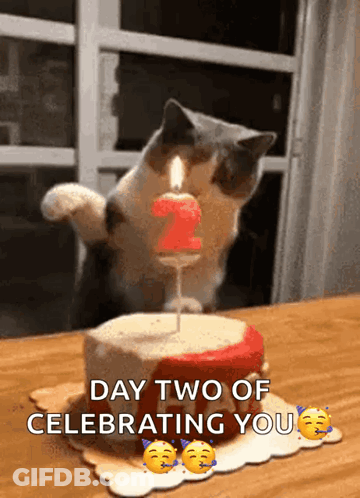 A Cat Is Blowing Out A Candle On A Birthday Cake . GIF