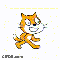 A Cat Is Carrying A Carton Of Milk GIF