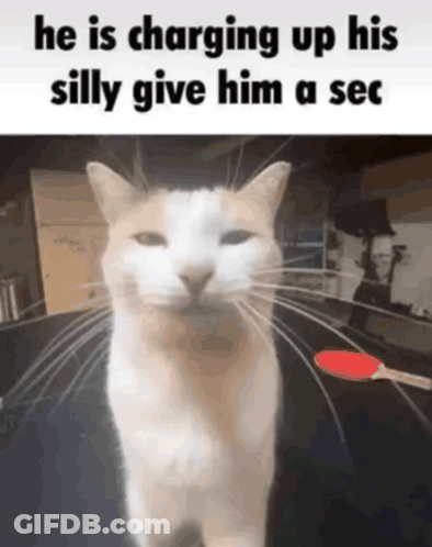 A Cat Is Charging Up His Silly Give Him A Sec Sign GIF