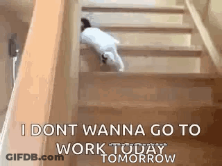 A Cat Is Climbing Up A Set Of Stairs . GIF