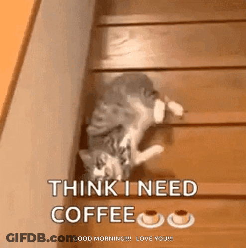 A Cat Is Climbing Up A Set Of Wooden Stairs And Says " Think I Need Coffee " GIF