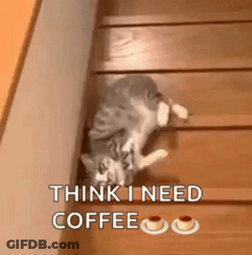 A Cat Is Climbing Up A Set Of Wooden Stairs And Says Think I Need Coffee . GIF