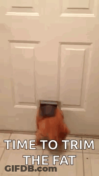 A Cat Is Coming Out Of A Cat Door And Says `` Time To Trim The Fat '' . GIF
