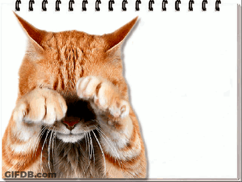 A Cat Is Covering Its Eyes With Its Paws On A White Background GIF