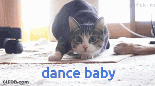 A Cat Is Crawling On A Rug With The Words Dance Baby Written Below It GIF