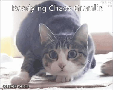 A Cat Is Crawling On The Floor With The Words Readying Chaos Gremlin Written Above It . GIF