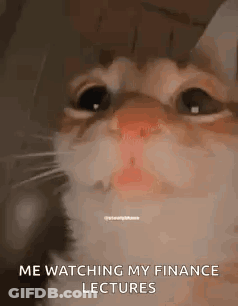 A Cat Is Crying While Watching His Finance Lectures . GIF
