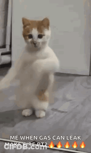 A Cat Is Dancing In Front Of A Mirror With The Caption " Me When Gas Can Leak Make Fire Pt2 " . GIF
