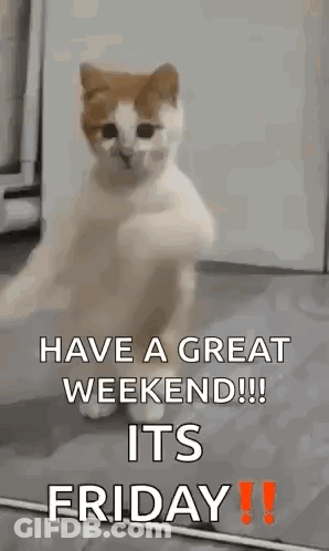 A Cat Is Dancing On Its Hind Legs With The Words `` Have A Great Weekend !!! It 'S Friday '' . GIF