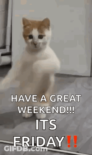 A Cat Is Dancing On Its Hind Legs With The Words `` Have A Great Weekend !!! Its Friday ! '' GIF