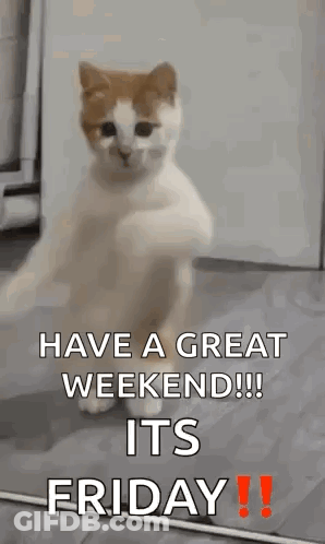A Cat Is Dancing On Its Hind Legs With The Words `` Have A Great Weekend !!! Its Friday '' . GIF
