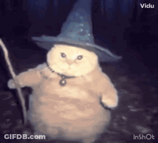 A Cat Is Dressed As A Wizard And Holding A Staff . GIF
