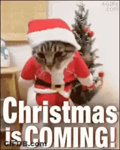 A Cat Is Dressed As Santa Claus And Sitting In Front Of A Christmas Tree . GIF