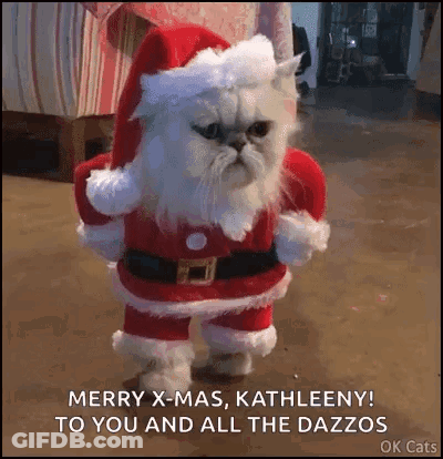 A Cat Is Dressed In A Santa Claus Costume And Says Merry X-Mas To You And All The Dazzos . GIF