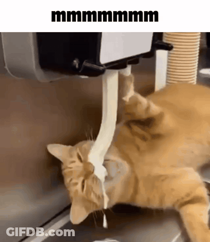 A Cat Is Drinking Milk From An Ice Cream Dispenser . GIF