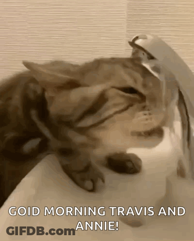A Cat Is Drinking Water From A Faucet And Says Good Morning Travis And Annie . GIF