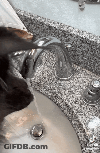 A Cat Is Drinking Water From A Faucet In A Bathroom GIF