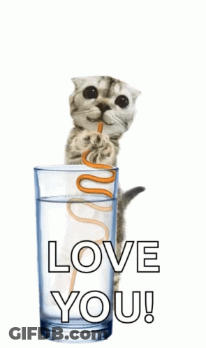 A Cat Is Drinking Water From A Glass With A Straw And Says " Love You " GIF