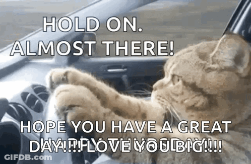 A Cat Is Driving A Car And Says Hold On Almost There Hope You Have A Great Day GIF