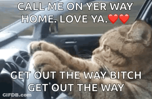 A Cat Is Driving A Car With A Caption That Says Call Me On Yer Way Home Love Ya Get Out The Way Bitch Get Out The Way GIF