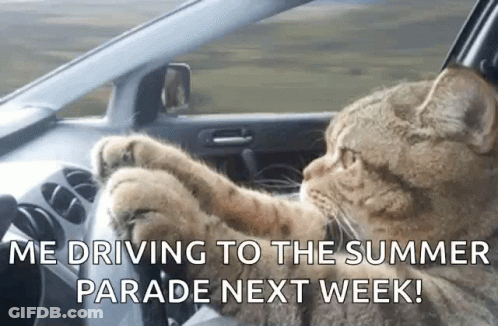 A Cat Is Driving A Car With A Caption That Says " We Driving To The Summer Parade Next Week " GIF