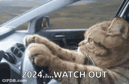 A Cat Is Driving A Car With Its Paws On The Steering Wheel And Says 2024 Watch Out GIF