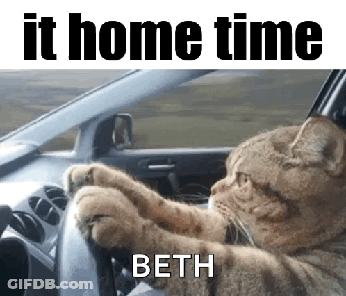 A Cat Is Driving A Car With Its Paws On The Steering Wheel And The Words It Home Time Beth Above It GIF