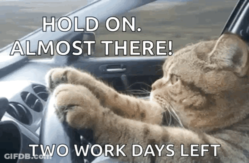 A Cat Is Driving A Car With Its Paws On The Steering Wheel .. GIF
