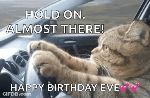 A Cat Is Driving A Car With The Caption Hold On Almost There GIF