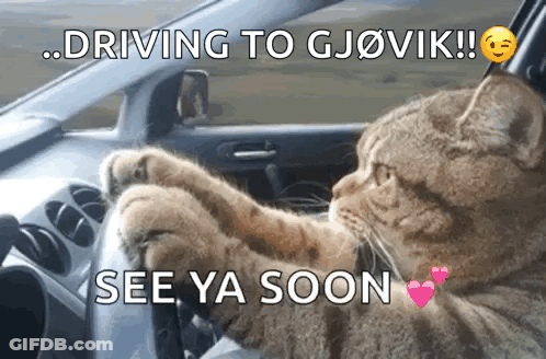 A Cat Is Driving A Car With The Words " Driving To Gjovik See Ya Soon " Below It GIF