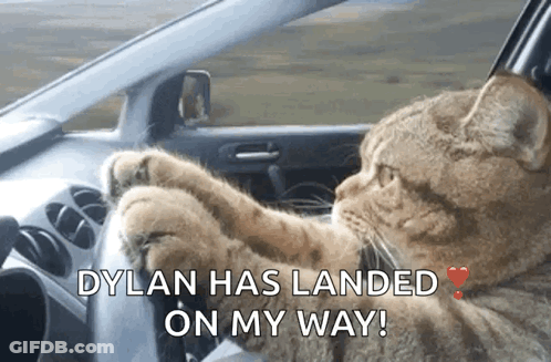A Cat Is Driving A Car With The Words Dylan Has Landed On My Way GIF