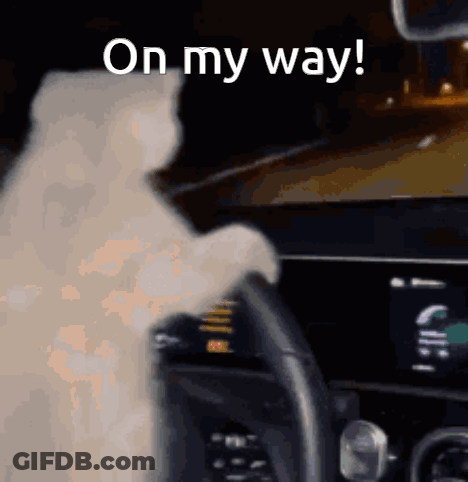 A Cat Is Driving A Car With The Words " On My Way " Written On The Bottom GIF