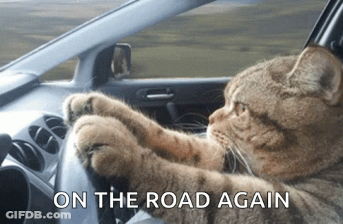 A Cat Is Driving A Car With The Words " On The Road Again " Below It GIF