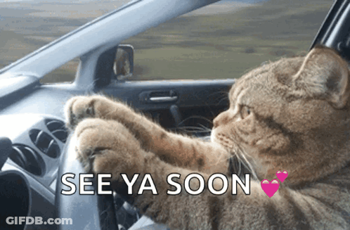 A Cat Is Driving A Car With The Words See Ya Soon Written On The Bottom GIF