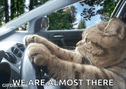 A Cat Is Driving A Car With The Words " We Are Almost There " Above It GIF