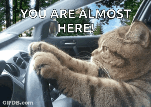 A Cat Is Driving A Car With The Words You Are Almost Here GIF
