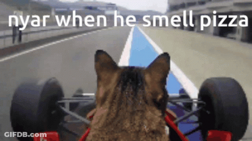 A Cat Is Driving A Race Car With The Words Nyar When He Smell Pizza GIF