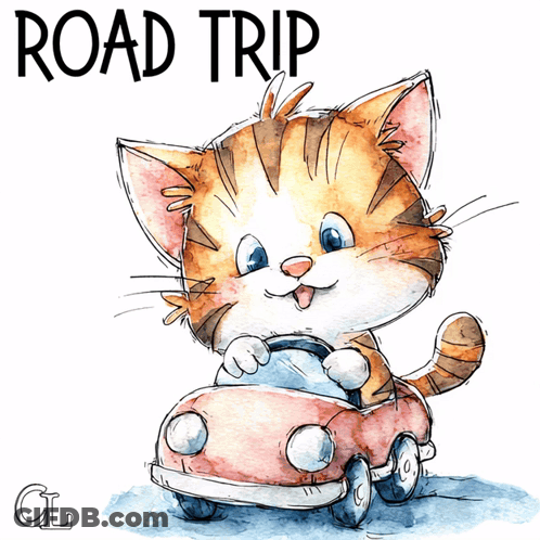 A Cat Is Driving A Red Car With The Words Road Trip Written Above It GIF