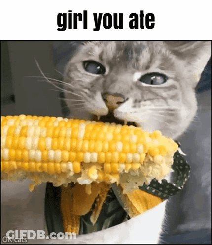 A Cat Is Eating A Piece Of Corn On The Cob GIF