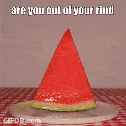 A Cat Is Eating A Slice Of Watermelon On A Plate With The Caption " Are You Out Of Your Rind " GIF