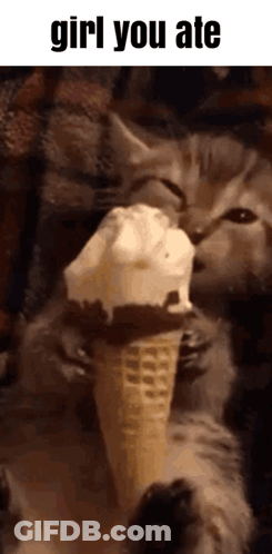 A Cat Is Eating An Ice Cream Cone With A Caption That Says Girl You Ate . GIF