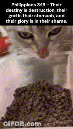 A Cat Is Eating From A Bowl Of Food With A Bible Verse Written Above It GIF
